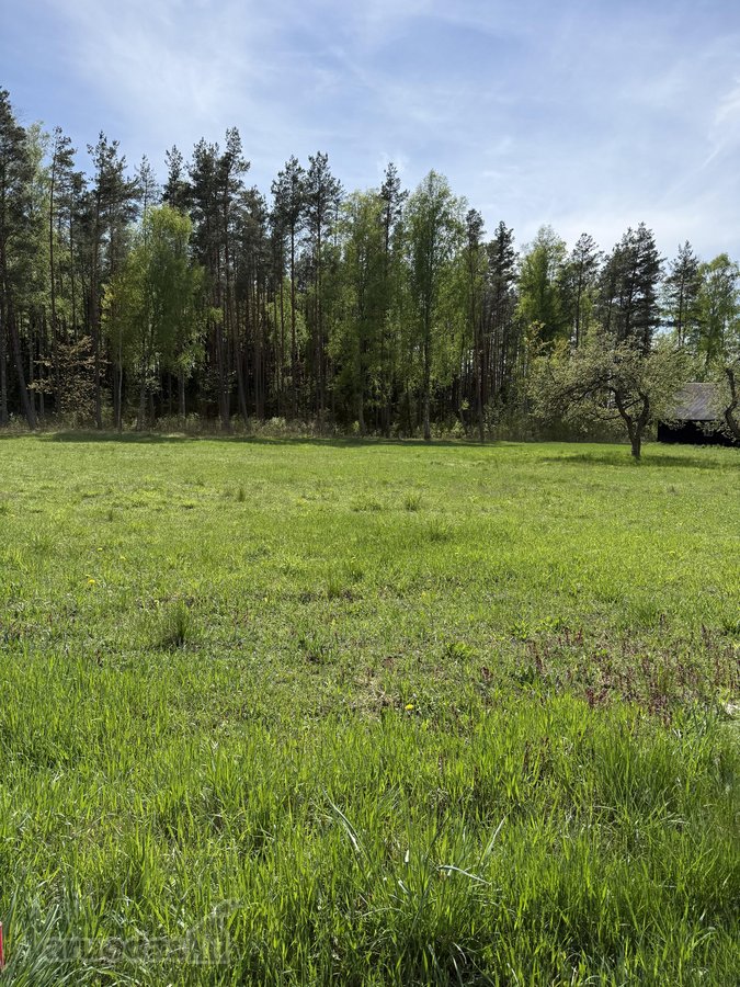 Parduodami namų valdų sklypai šalia - nuotraukos Nr. 7