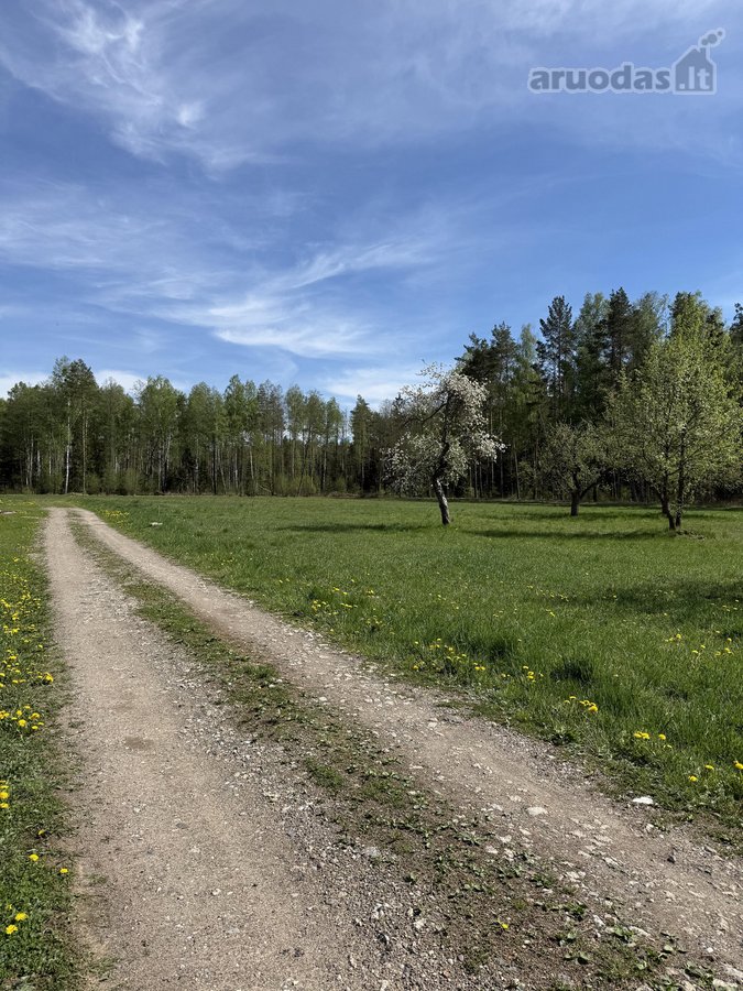 Parduodami namų valdų sklypai šalia - nuotraukos Nr. 8