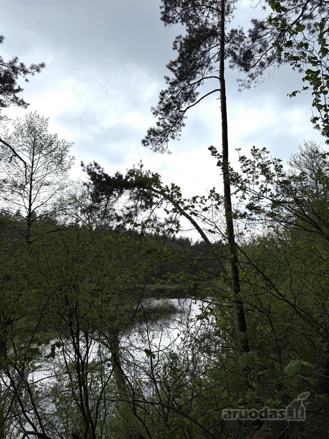 Parduodamas miškų ūkio paskirties žemės
