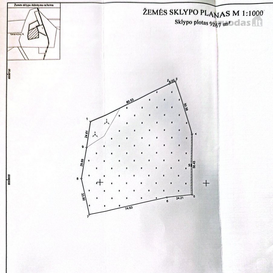Parduodami namų valdų, žemės ūkio bei miškų - nuotraukos Nr. 21