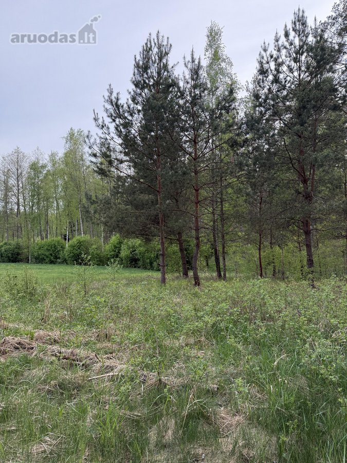 Parduodami namų valdų, žemės ūkio bei miškų