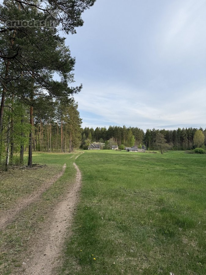 Parduodami namų valdų, žemės ūkio bei miškų - nuotraukos Nr. 2