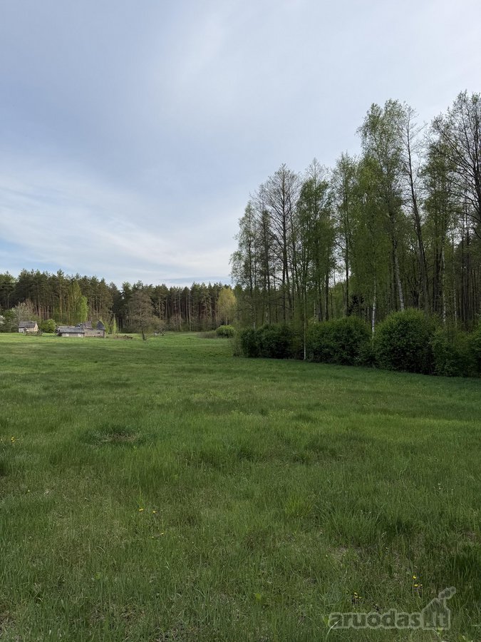 Parduodami namų valdų, žemės ūkio bei miškų - nuotraukos Nr. 3