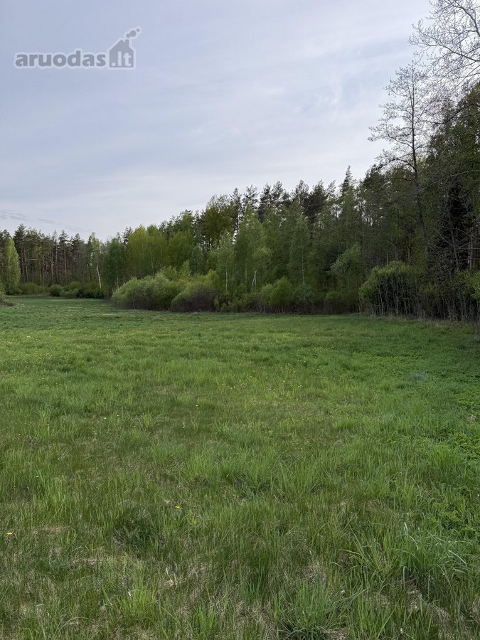 Parduodami namų valdų, žemės ūkio bei miškų - nuotraukos Nr. 4