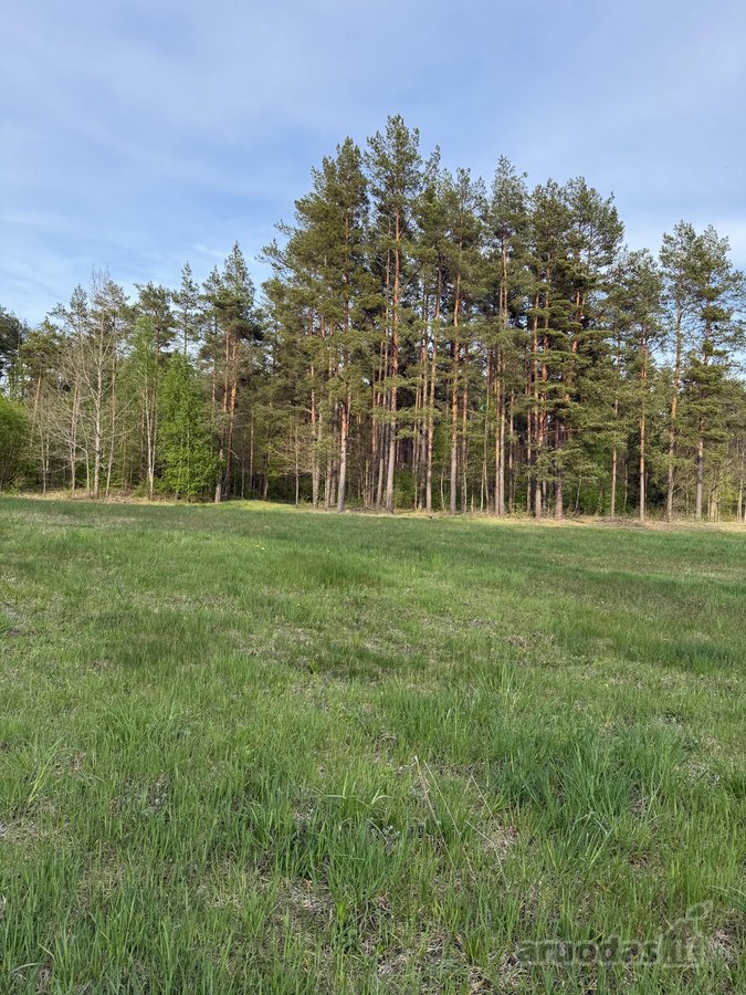 Parduodami namų valdų, žemės ūkio bei miškų - nuotraukos Nr. 5