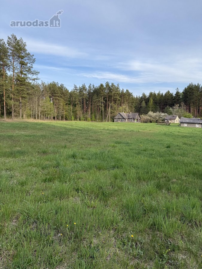 Parduodami namų valdų, žemės ūkio bei miškų - nuotraukos Nr. 6