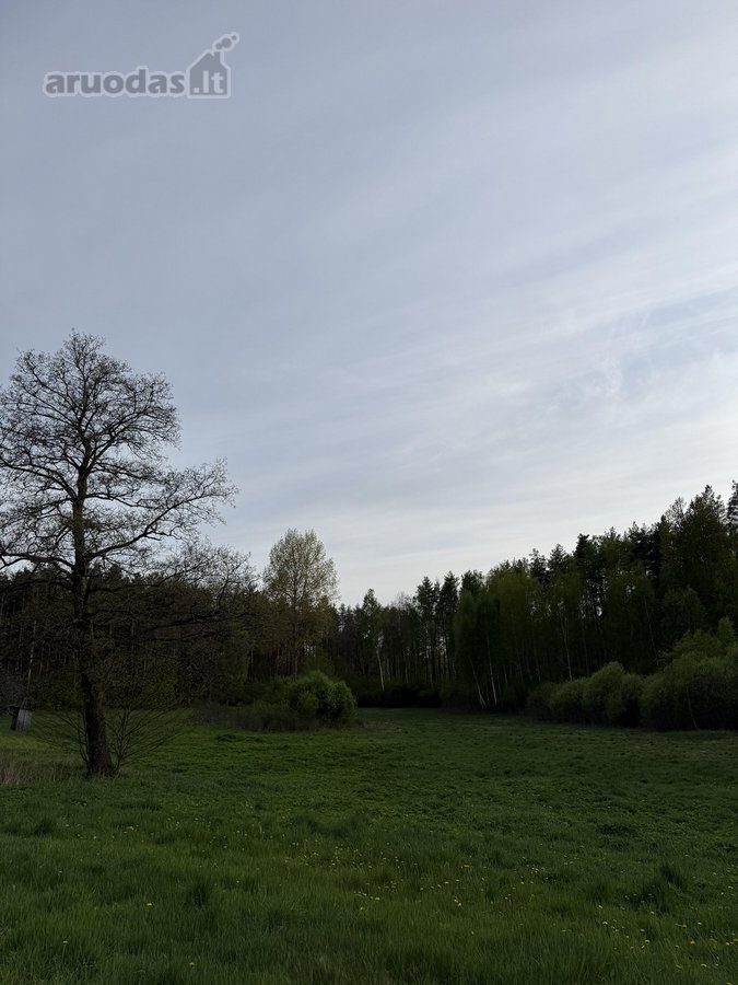 Parduodami namų valdų, žemės ūkio bei miškų - nuotraukos Nr. 7