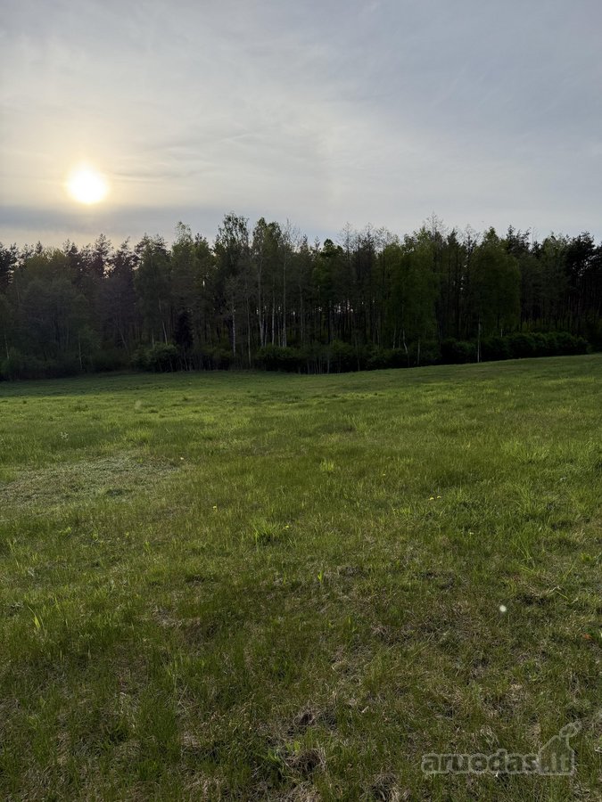 Parduodami namų valdų, žemės ūkio bei miškų - nuotraukos Nr. 9