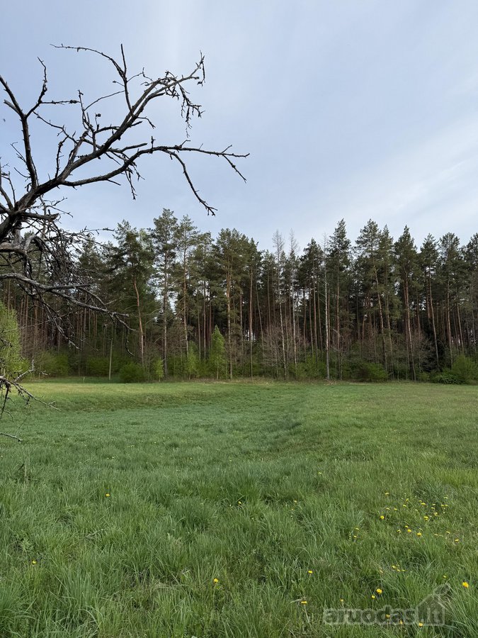 Parduodami namų valdų, žemės ūkio bei miškų - nuotraukos Nr. 11