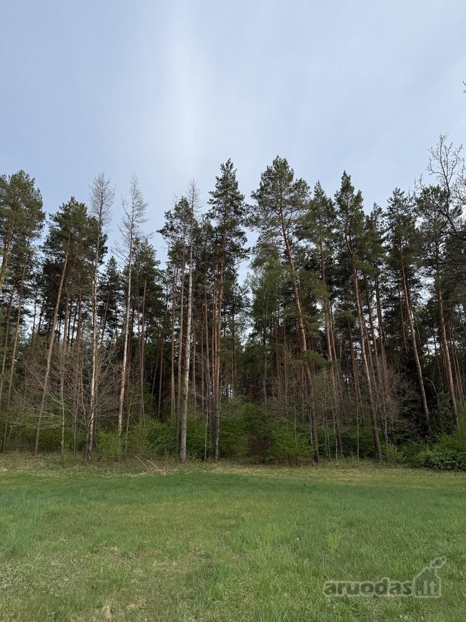 Parduodami namų valdų, žemės ūkio bei miškų - nuotraukos Nr. 13