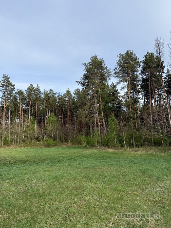 Parduodami namų valdų, žemės ūkio bei miškų - nuotraukos Nr. 14