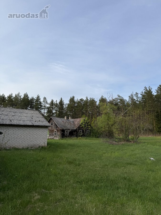 Parduodami namų valdų, žemės ūkio bei miškų - nuotraukos Nr. 15
