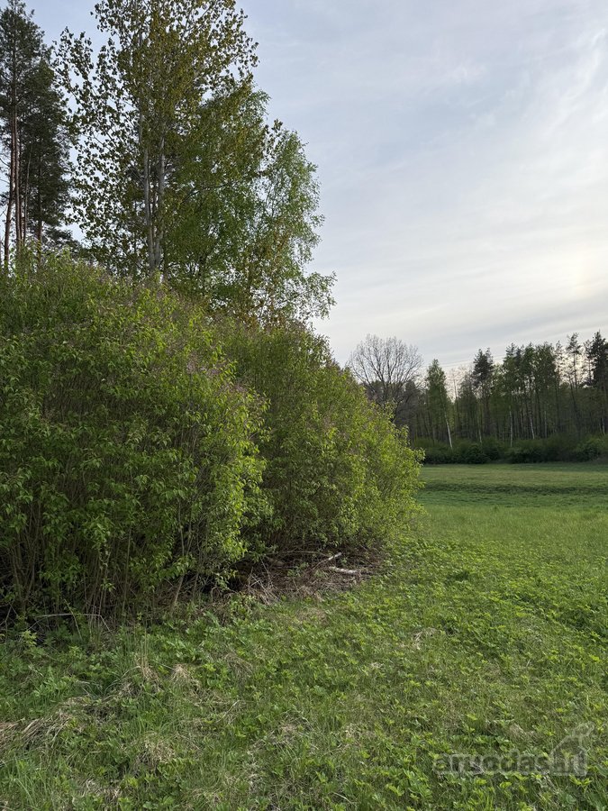 Parduodami namų valdų, žemės ūkio bei miškų - nuotraukos Nr. 17