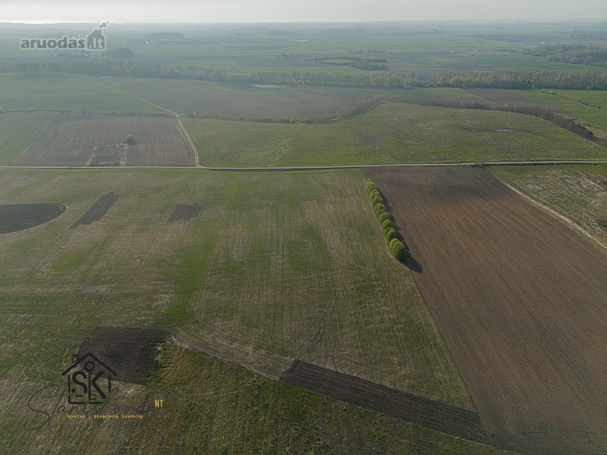 Parduodamas 73.39 Arų Sklypas Kretingalėje, - nuotraukos Nr. 13