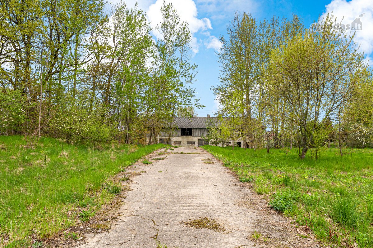Trakų rajone, Jovariškių k., netoli Akmenos - nuotraukos Nr. 13