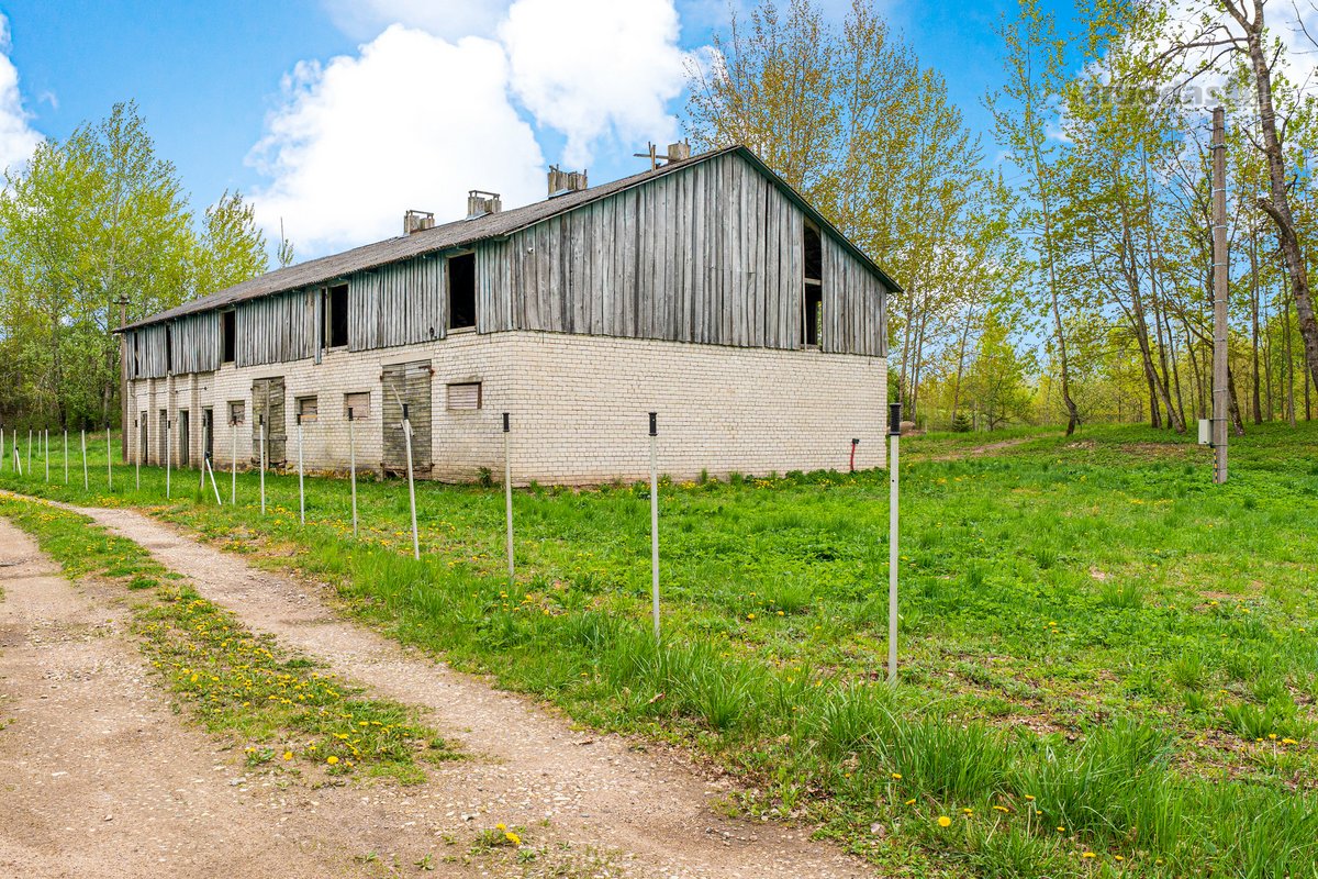 Trakų rajone, Jovariškių k., netoli Akmenos - nuotraukos Nr. 14