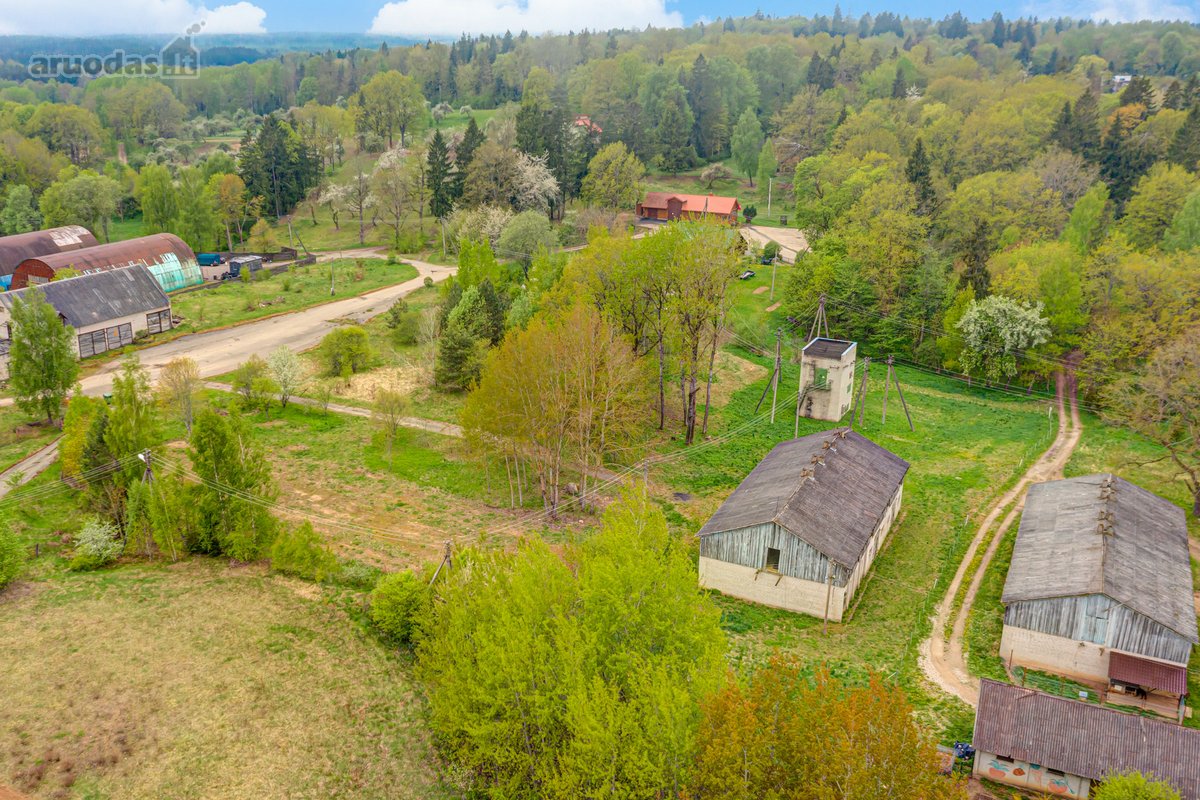 Trakų rajone, Jovariškių k., netoli Akmenos - nuotraukos Nr. 21