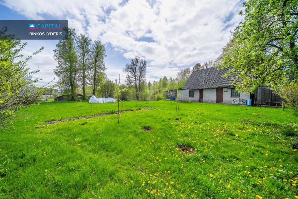 Parduodamas 24.72 Arų Sklyas Su Asfaltuotu - nuotraukos Nr. 18