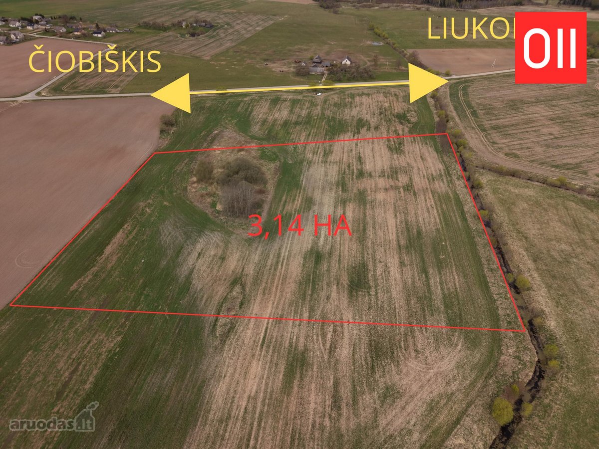 Parduodamas 3,1412 ha žemės ūkio paskirties