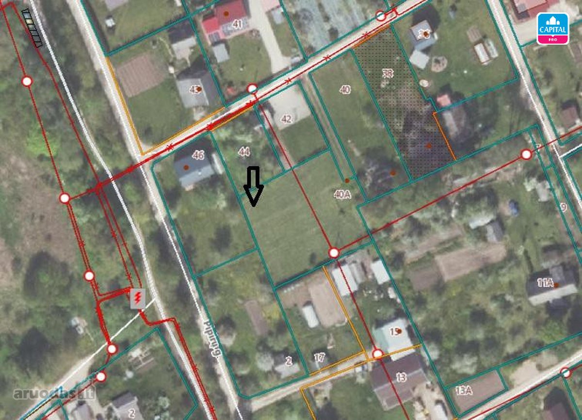 Parduodamas 10,31 arų sodo sklypas Begonijų g - nuotraukos Nr. 3