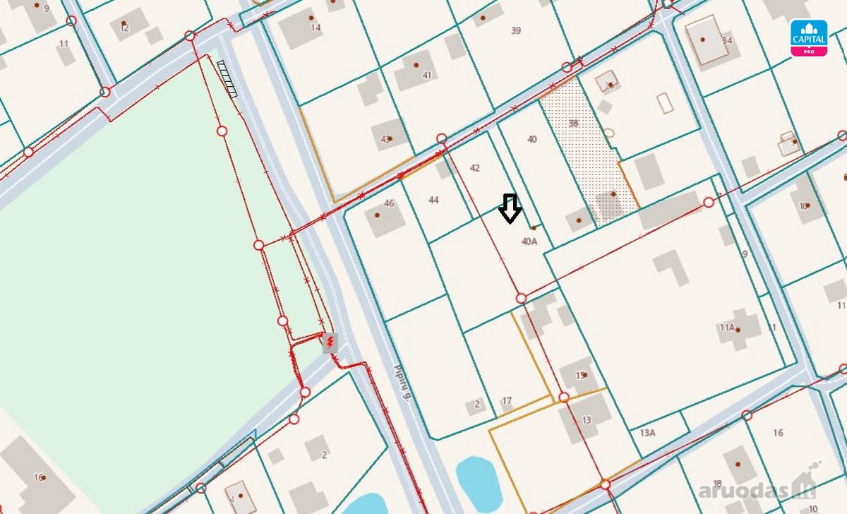 Parduodamas 10,31 arų sodo sklypas Begonijų g - nuotraukos Nr. 7