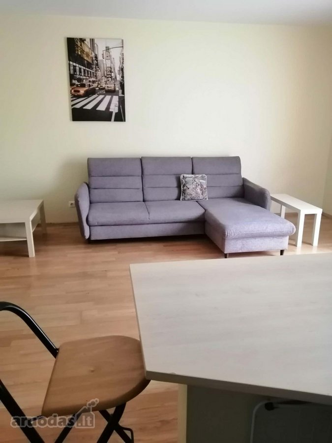 Ieškomi atsakingi bei tvarkingi nuomiinkai