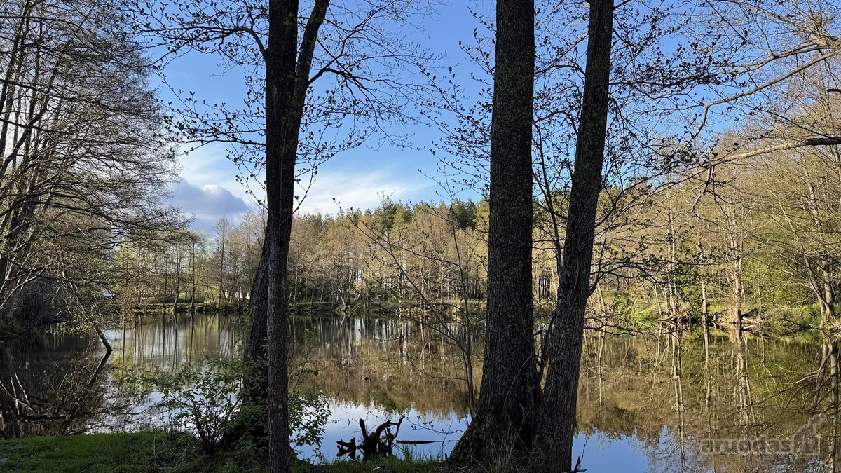 Naujas, Pilnai Įrengtas 4 K. Butas Palangoje - nuotraukos Nr. 27