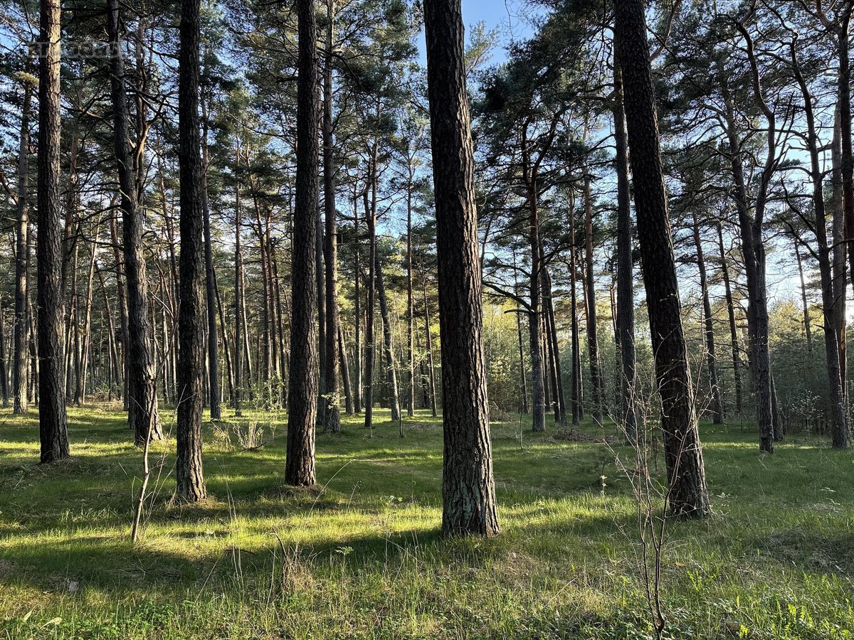 Naujas, Pilnai Įrengtas 4 K. Butas Palangoje - nuotraukos Nr. 29