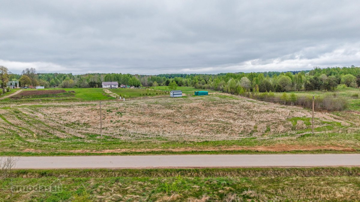 1,38 ha sklypas su leidimu statybai ir 22 kw - nuotraukos Nr. 9
