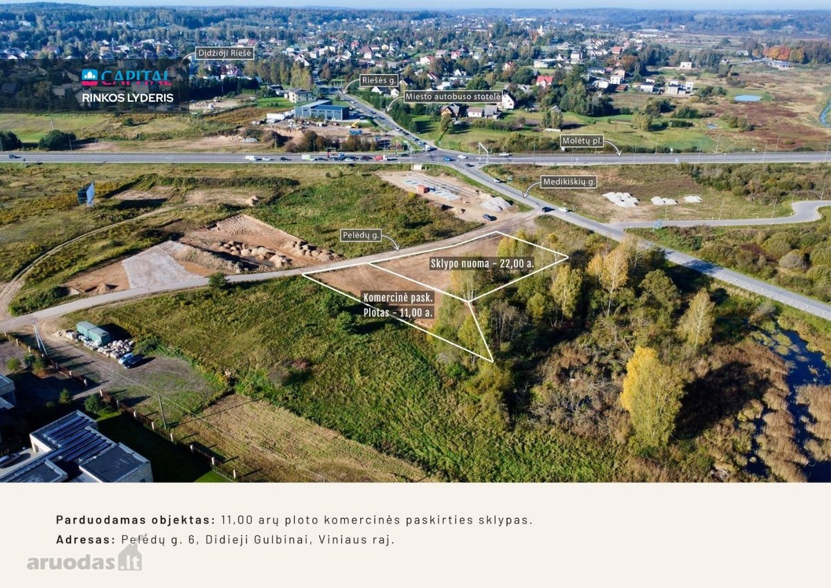Perspektyvioje Didžiųjų Gulbinų gyvenvietėje,
