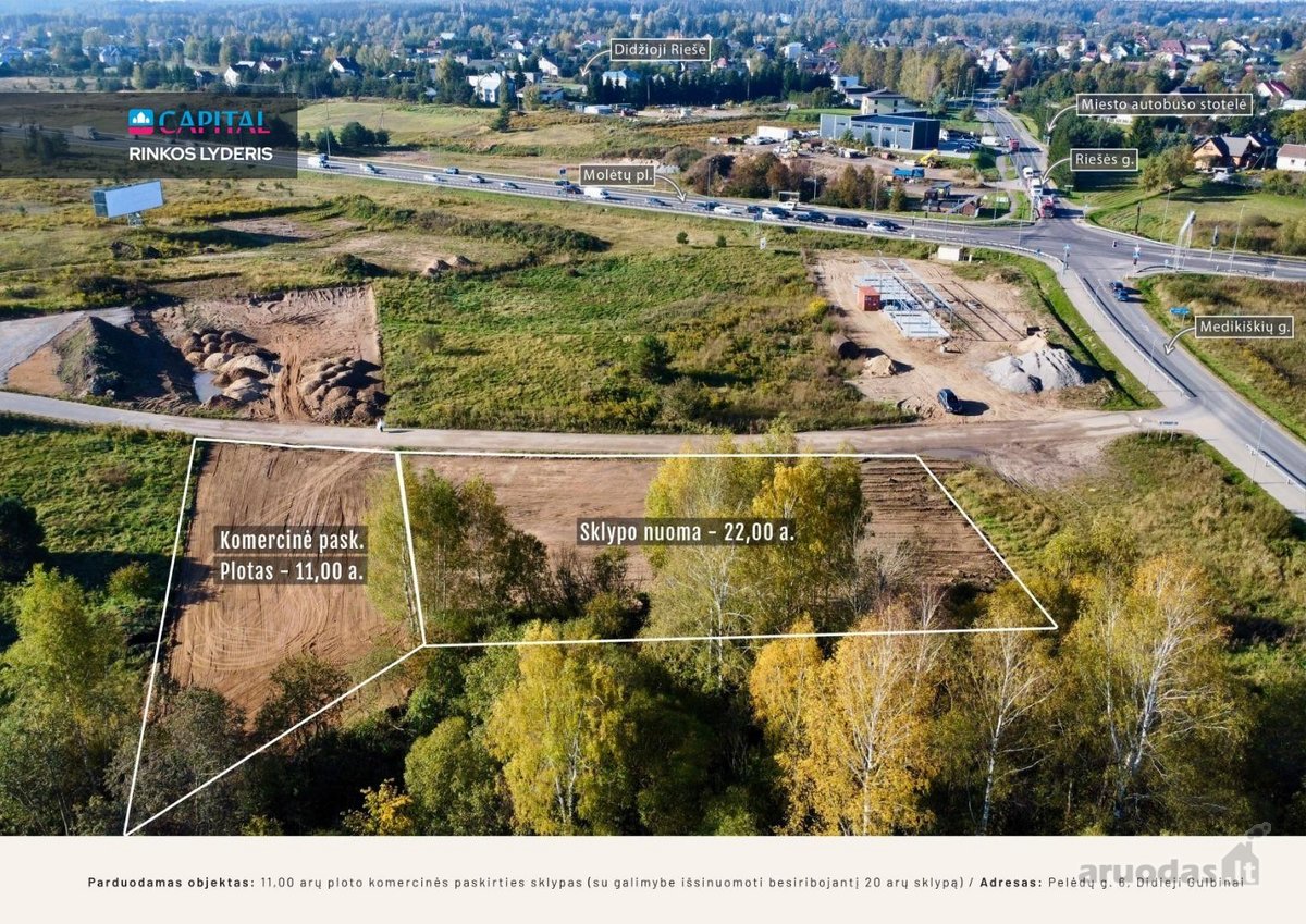 Perspektyvioje Didžiųjų Gulbinų gyvenvietėje, - nuotraukos Nr. 9