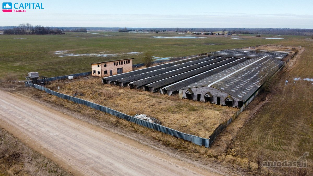 Parduodama Buvusi Ferma Ramioje Vietoje Prie - nuotraukos Nr. 2