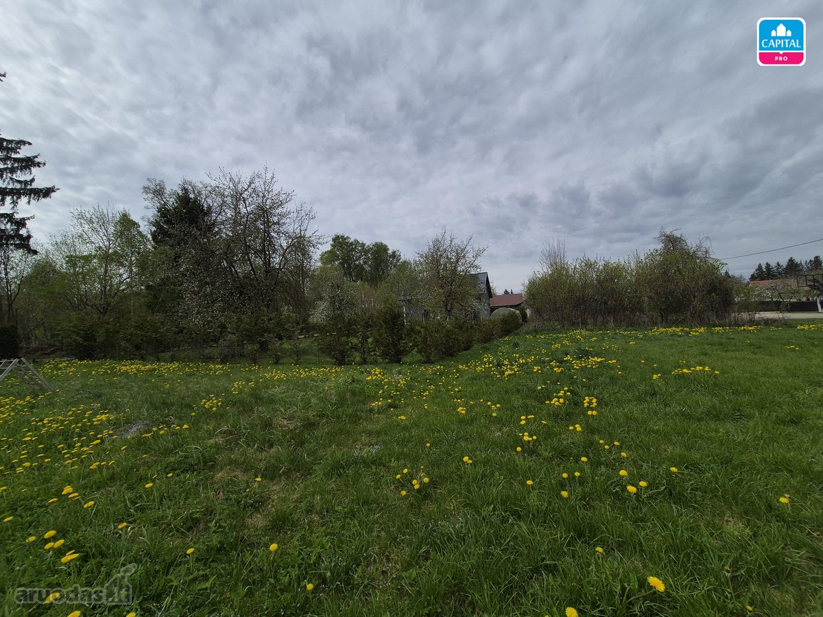 Parduodamas 10,31 arų sodo sklypas Begonijų g - nuotraukos Nr. 2