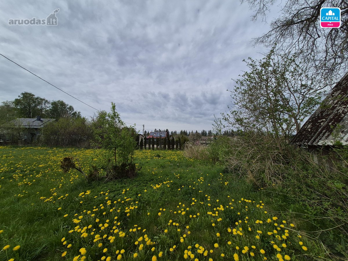 Parduodamas 10,31 arų sodo sklypas Begonijų g - nuotraukos Nr. 4