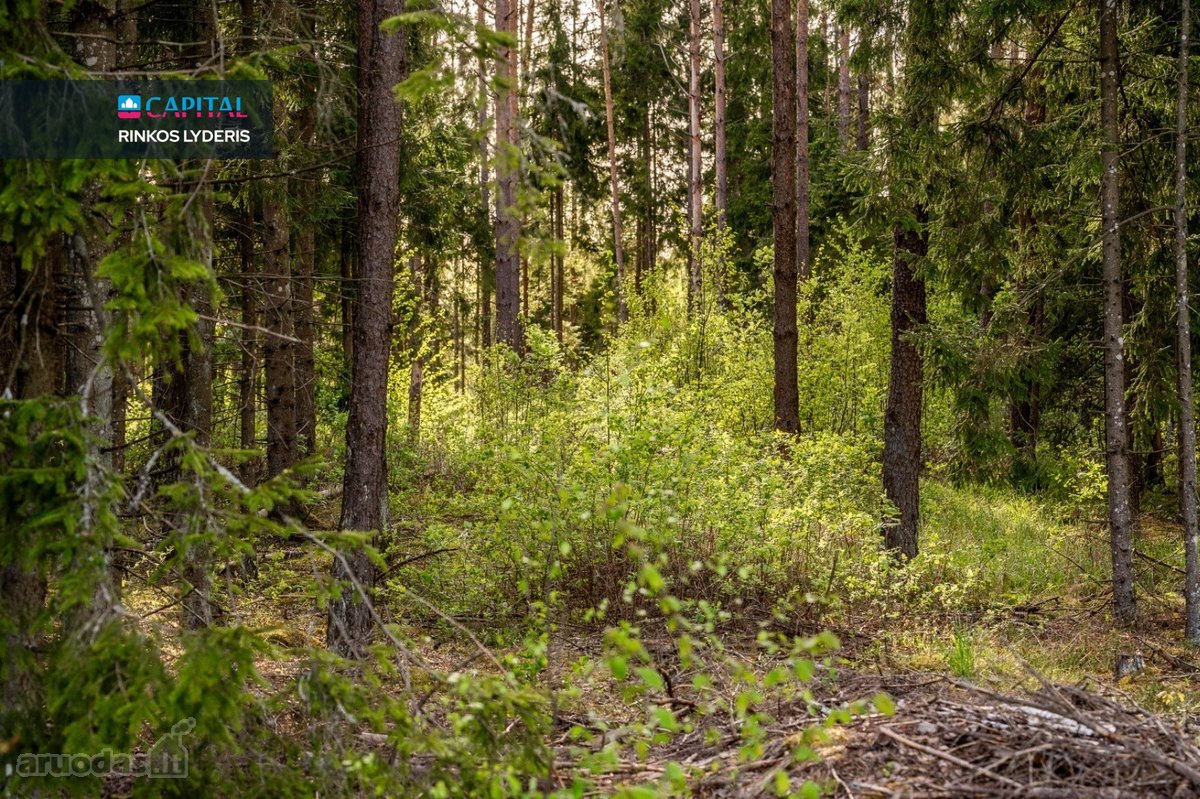 Molėtuose Prie Bebrusų Ežero, Parduodamas - nuotraukos Nr. 12