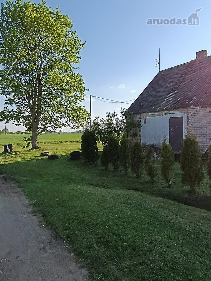 Namas ramioje vietoje, iš trijų pusių nėra - nuotraukos Nr. 4