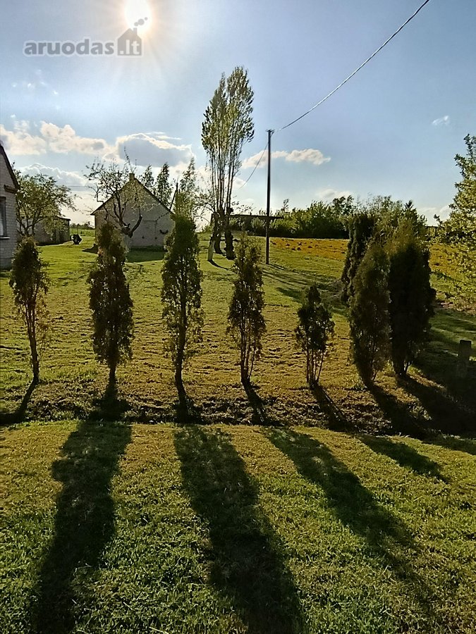Namas ramioje vietoje, iš trijų pusių nėra - nuotraukos Nr. 6