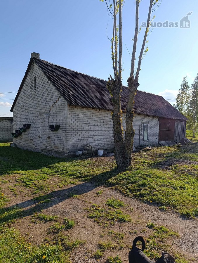 Namas ramioje vietoje, iš trijų pusių nėra - nuotraukos Nr. 14