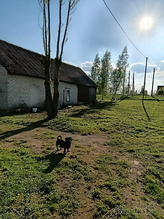 Namas ramioje vietoje, iš trijų pusių nėra - nuotraukos Nr. 15