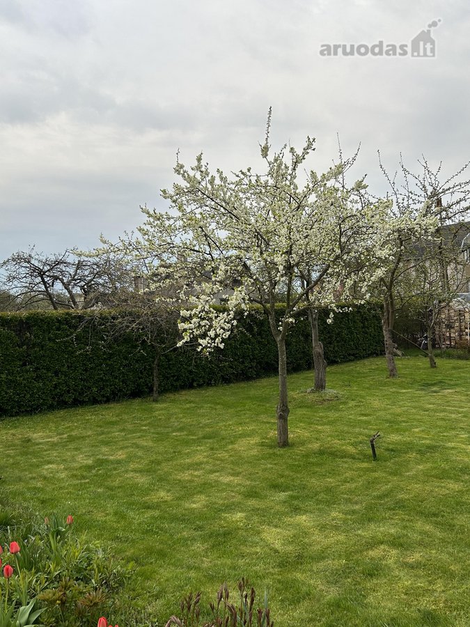 Jaukus 149 m² namas Palangoje – idealus - nuotraukos Nr. 10
