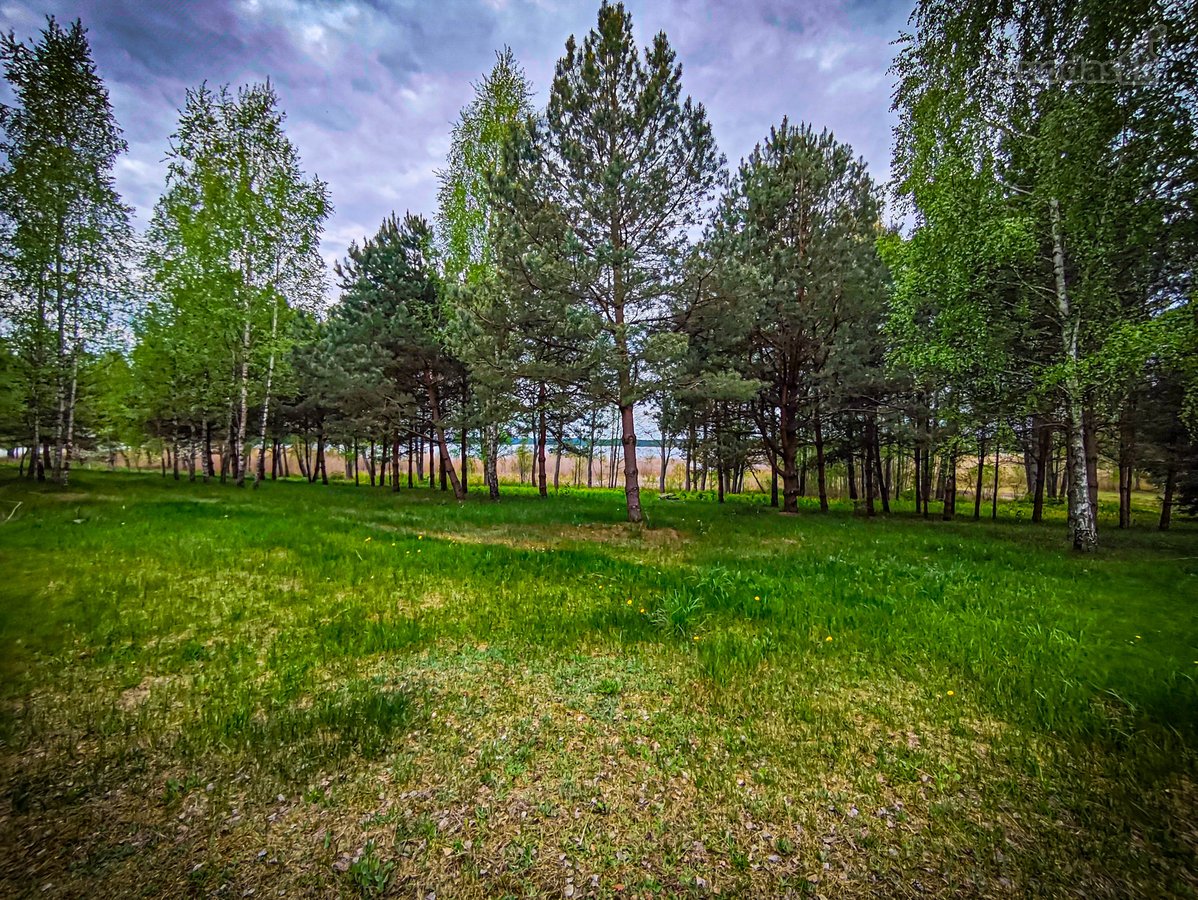 Molėtų raj. parduodama sodyba, išskirtinėje - nuotraukos Nr. 15