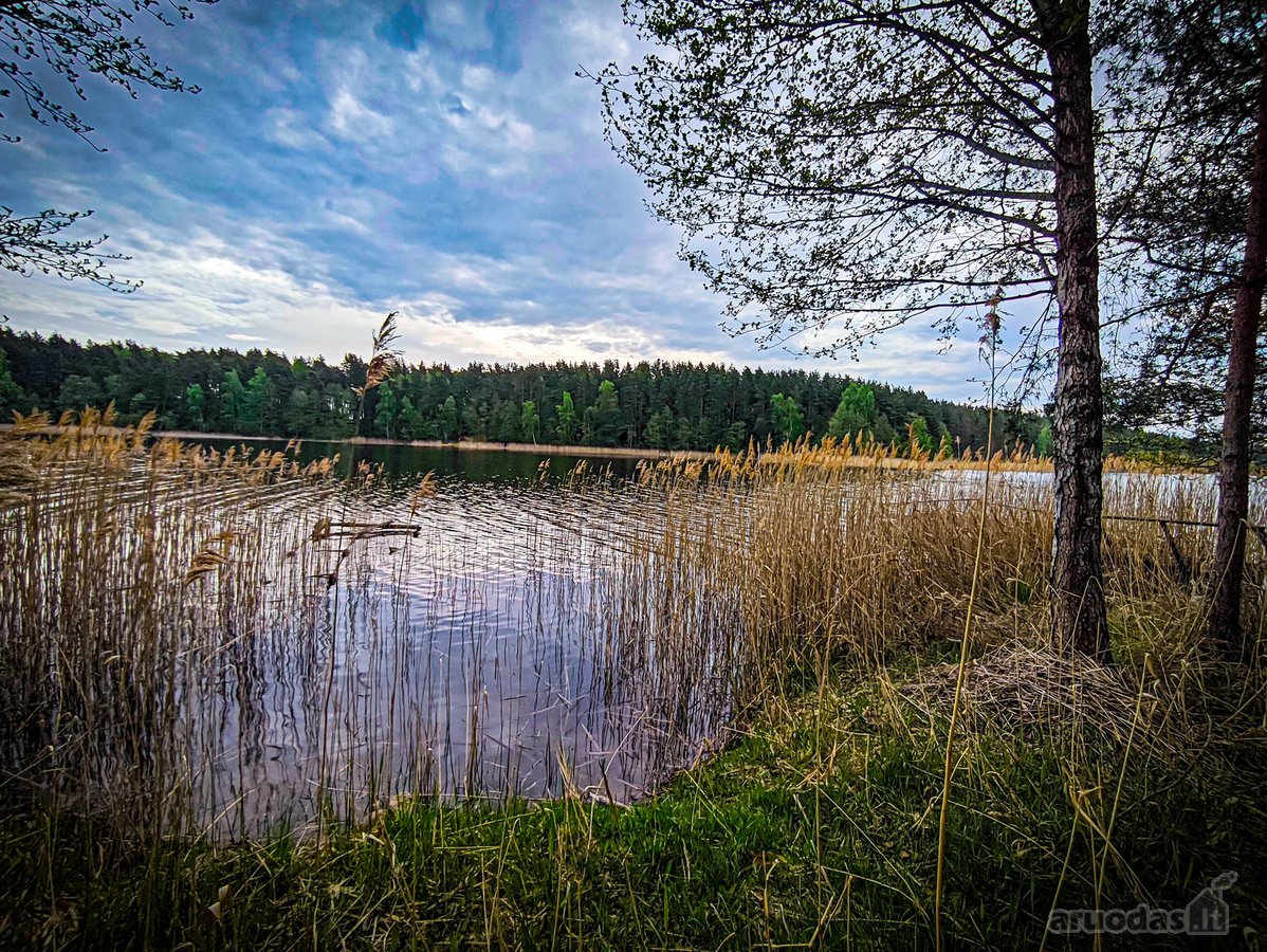 Molėtų raj. parduodama sodyba, išskirtinėje - nuotraukos Nr. 19