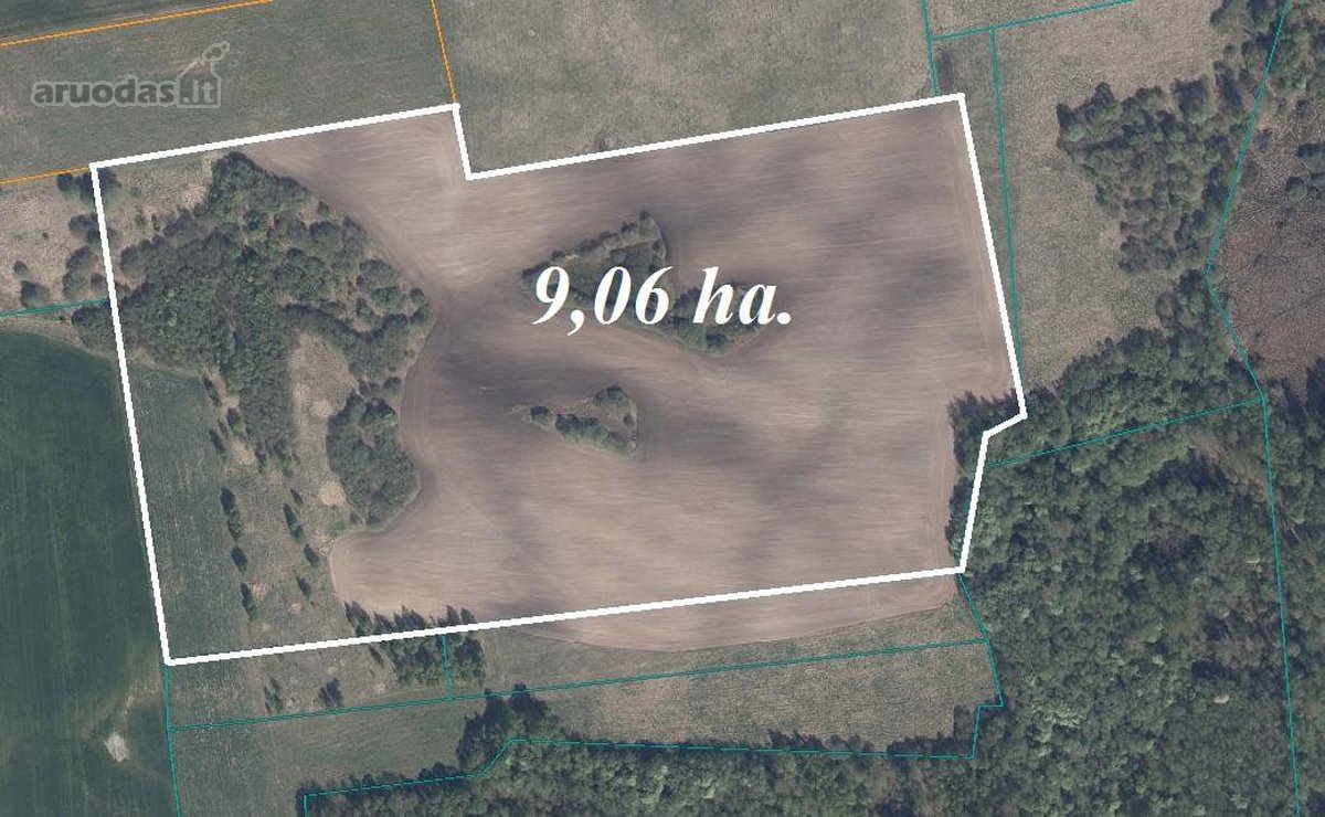 Parduodamas 9,0655 ha. Žūp sklypas Molėtų r.