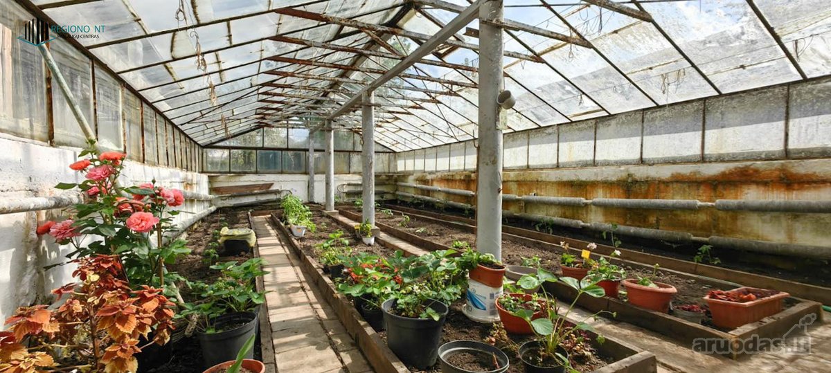 Parduodamas Gyvenamasis Namas Raudonųjų - nuotraukos Nr. 41
