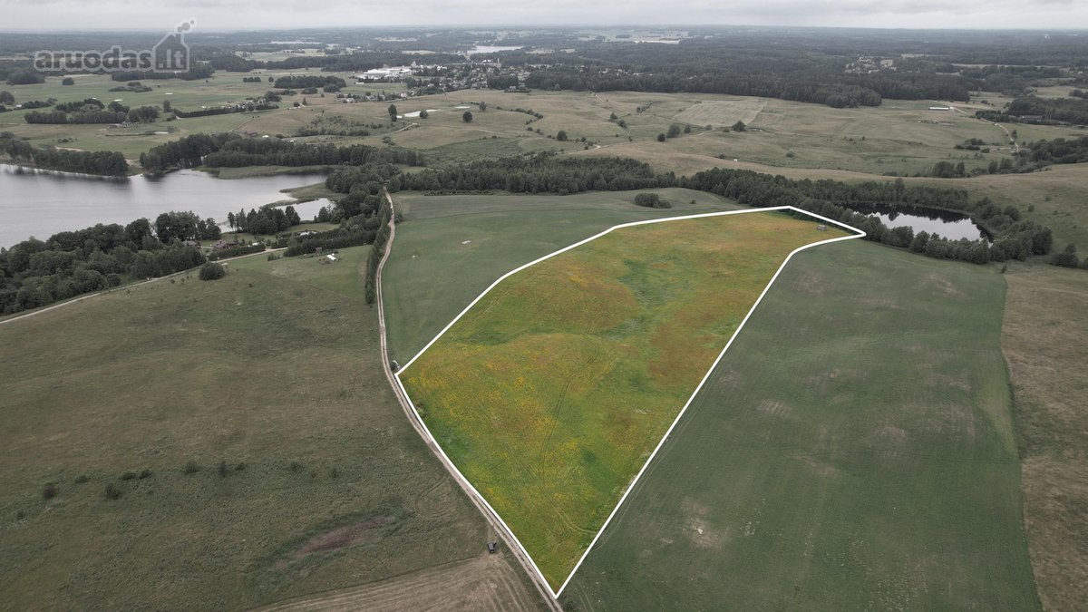 Investicinis Projektas Molėtų Rajone: 5 Ha - nuotraukos Nr. 4
