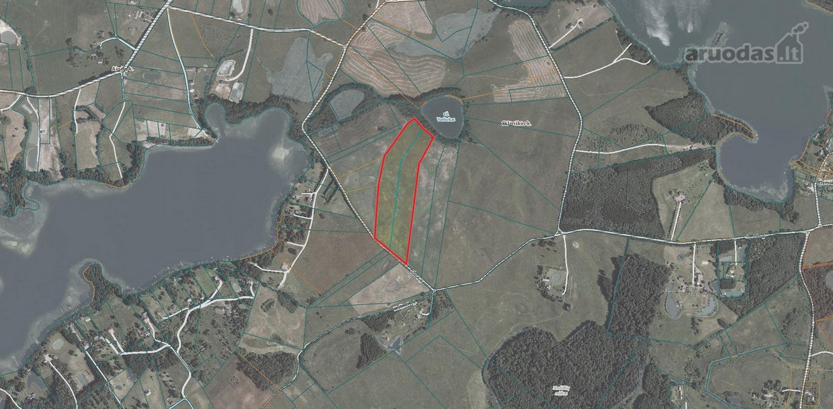 Investicinis Projektas Molėtų Rajone: 5 Ha - nuotraukos Nr. 6