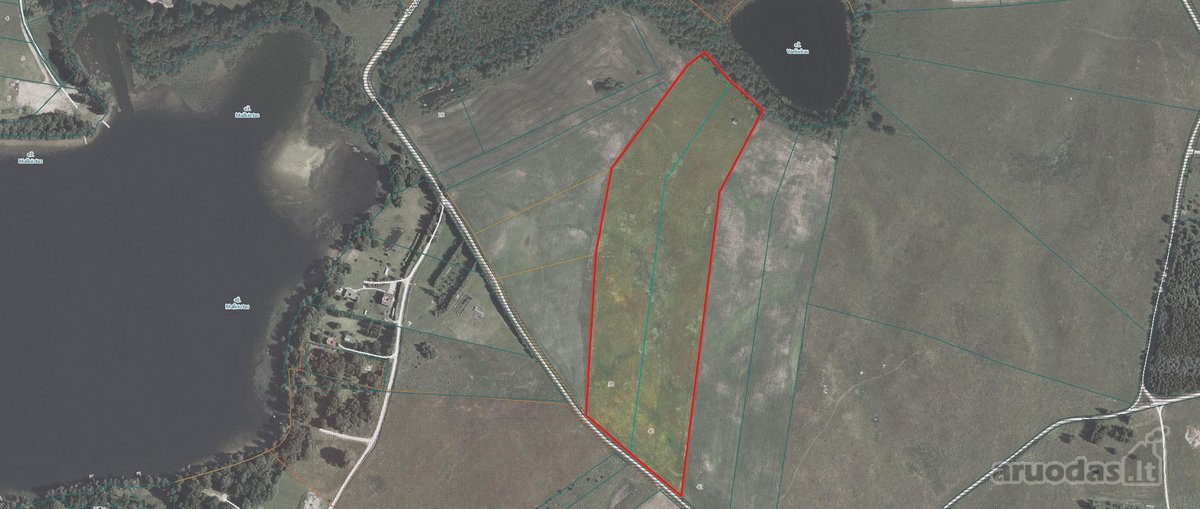 Investicinis Projektas Molėtų Rajone: 5 Ha - nuotraukos Nr. 7