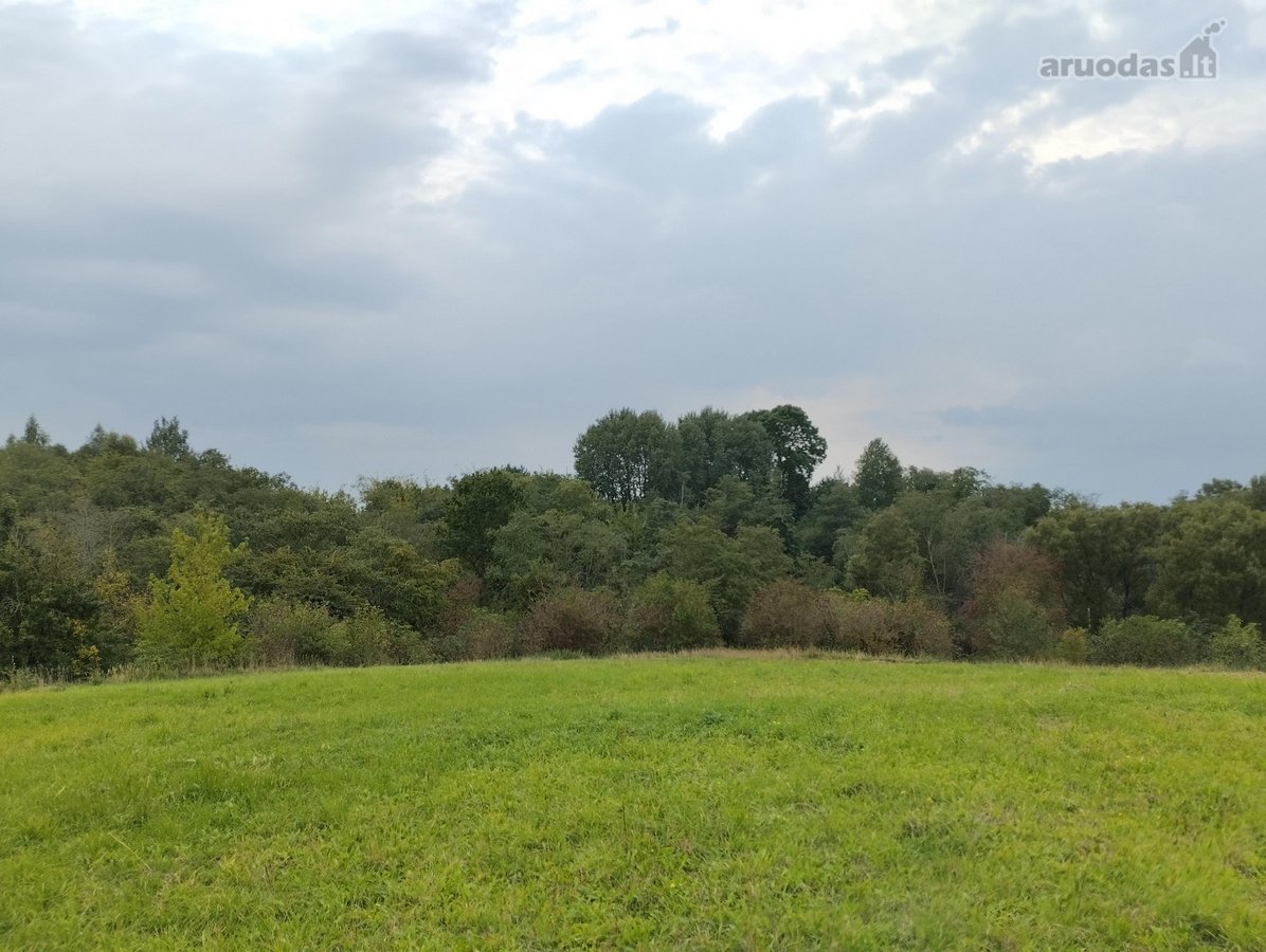 Adomiškių g., Vaišvydavoje, Kaune parduodamas