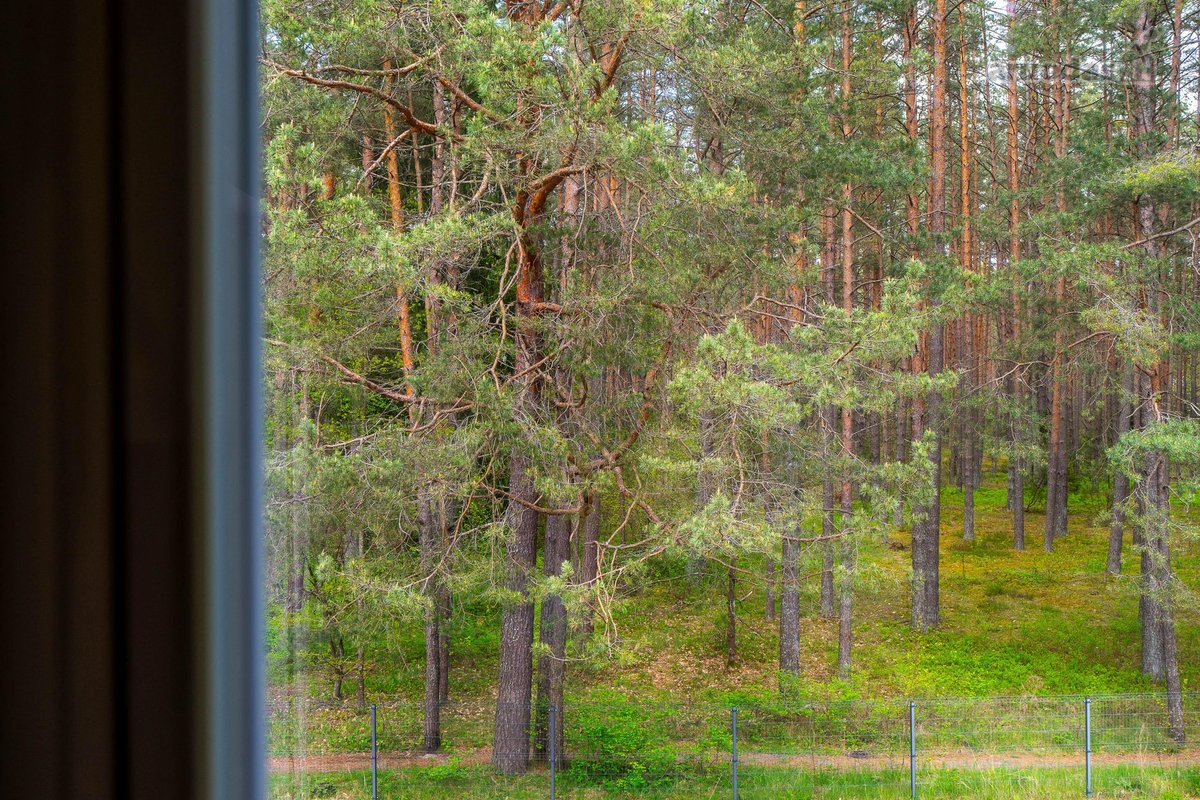 Parduodamas butas prie Balžio ežero Vilniaus - nuotraukos Nr. 21