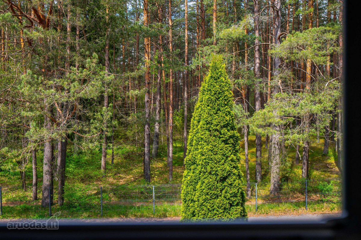 Parduodamas butas prie Balžio ežero Vilniaus - nuotraukos Nr. 18